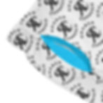 Thumbnail: ROSNER CARNEGIE KZN® FY-KZN-M-SW-T-1000-1 MONO MENS SWIM TRUNKS - SKY BLUE