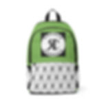 ROSNER CARNEGIE NYC® RCPYUSBBP20011000110 UNISEX 1.0 BACKPACK - SAGE