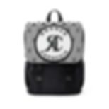 ROSNER CARNEGIE NYC® RCPYUSBBP202210110 UNISEX 22.0 BACKPACK - GREY