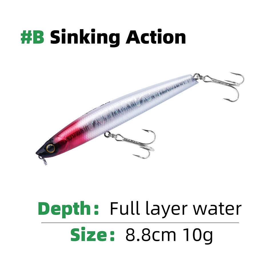 Thumbnail: HANDING 8.8/10.7cm Floating Pencil Popper&Sinking Pencil Hard Bait Topwater Plo
