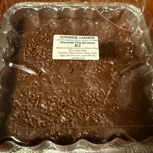Chocolate Chip Brownies