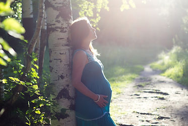 Pregnant Woman by Birch