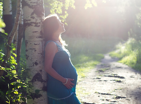 Pregnant Woman by Birch