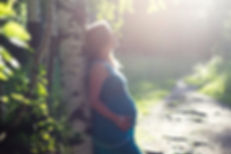 Pregnant Woman by Birch