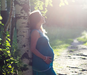 Pregnant Woman by Birch