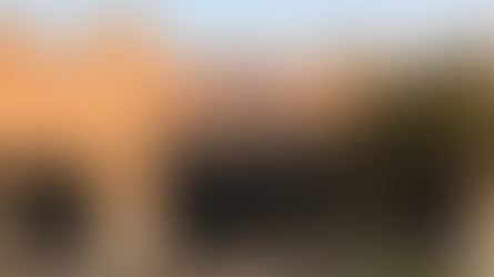 ELITE WELLNESS CHIROPRACTIC IN BEE CAVE, TEXAS