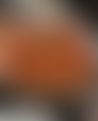 DISCOVERING AUSTIN’S GEM: VIA 313 PIZZA