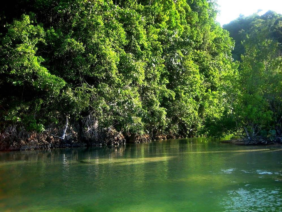 Playa Jackson private lagoon