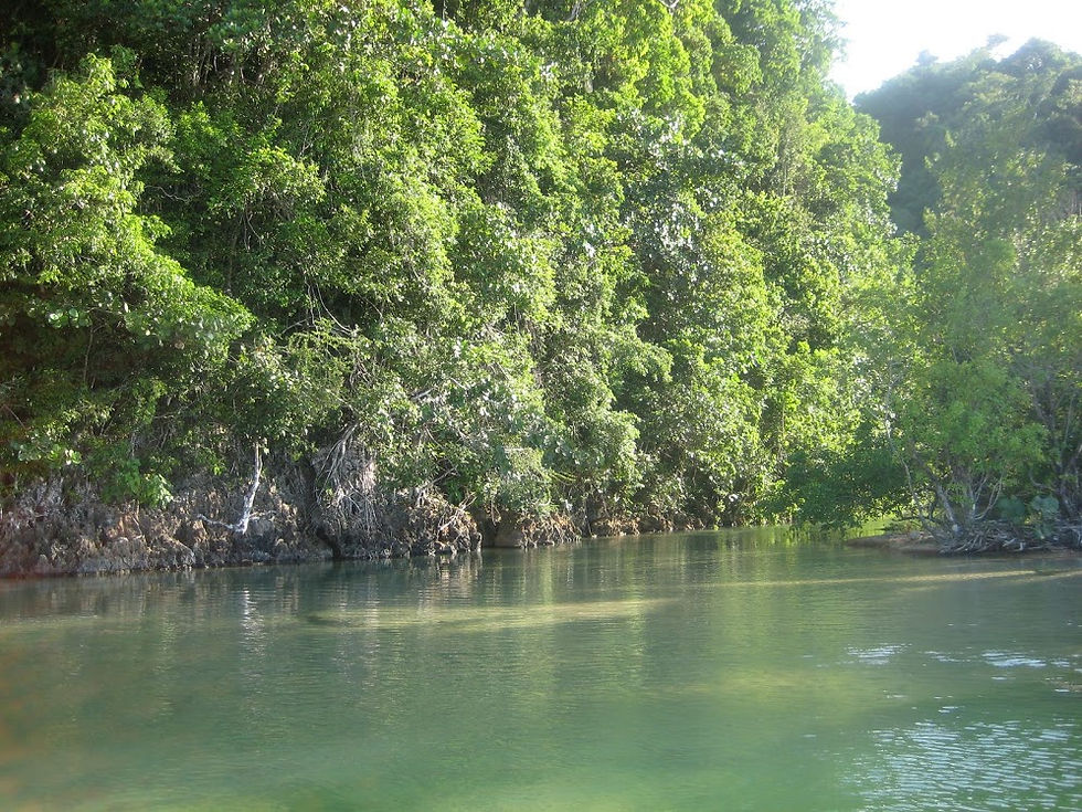 JacksonBeach Lagoon.jpg