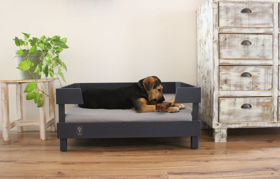 תמונה ממוזערת: מיטה לכלב דגם גוני