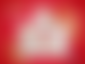 Exclusive Black Friday-Cyber Monday Special!