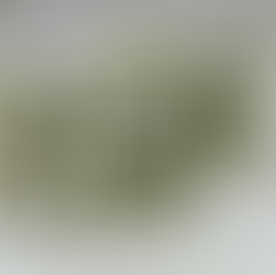 Stampin' Up! Brushed With Beauty