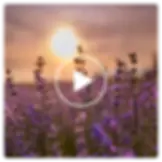 ARA© Audio - Eine Lavendelreise