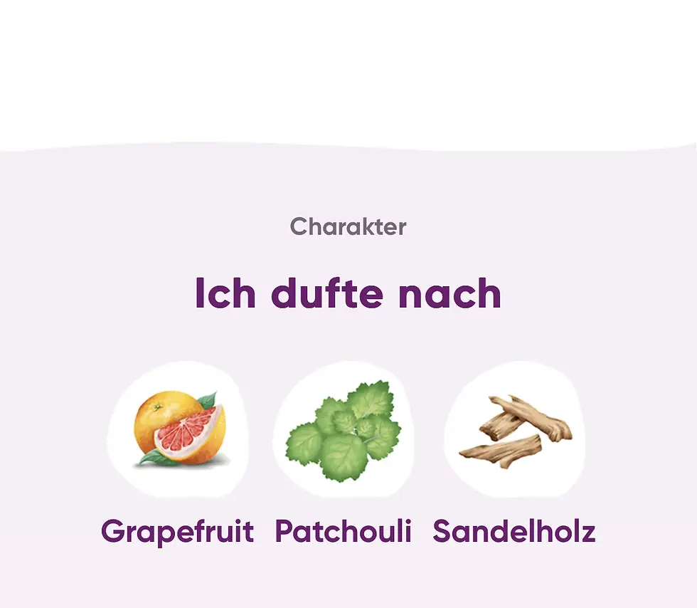 Miniaturbild: Baldini - Yogaduft® Raumspray BIO|demeter