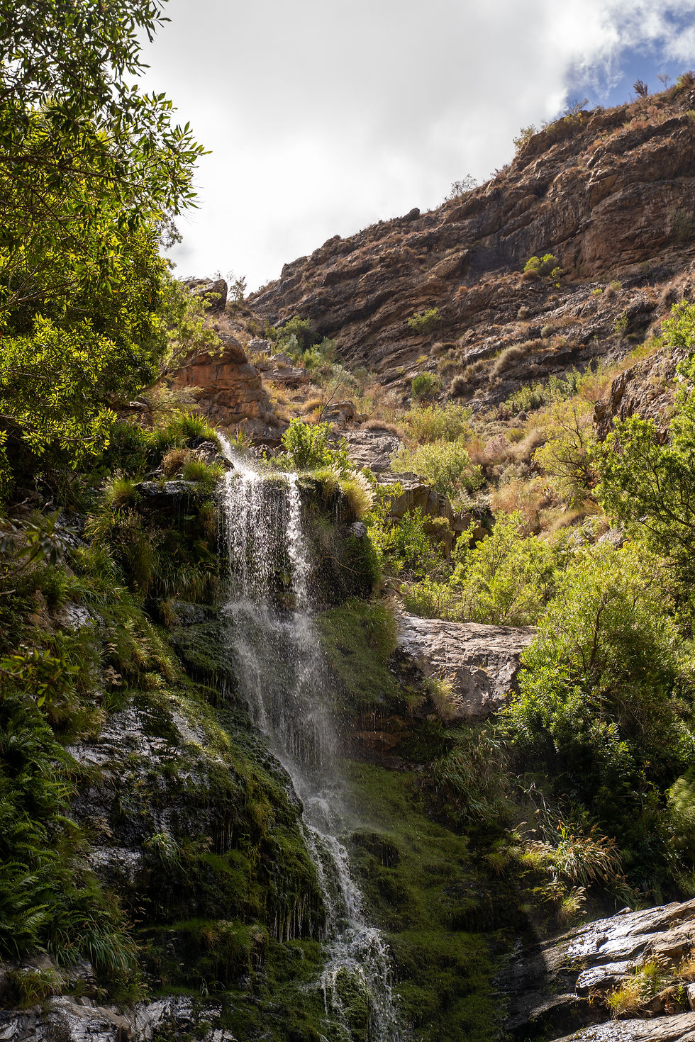Close-up view of a waterfall cascading over rocks with fynbos plants in the foreground