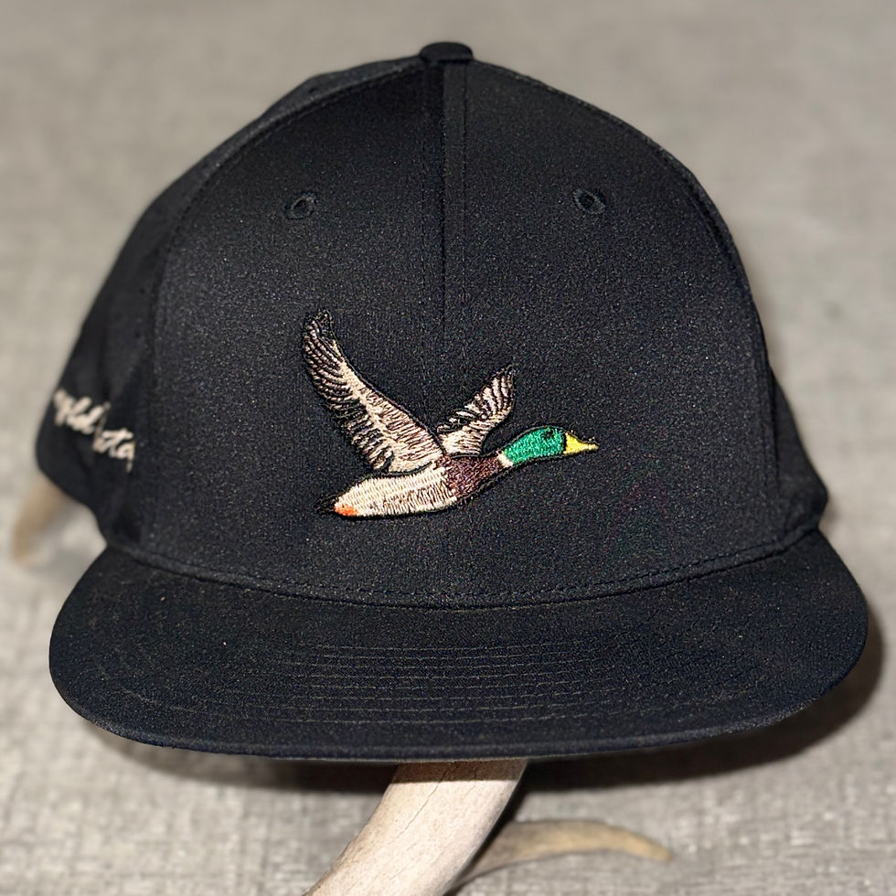 Thumbnail: Duck Fitted Hat - Black