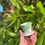 Thumbnail: Mossy green egg cup