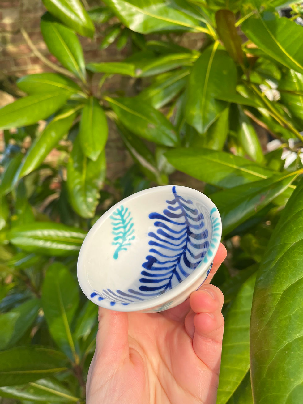 Thumbnail: Blue seaweed dish