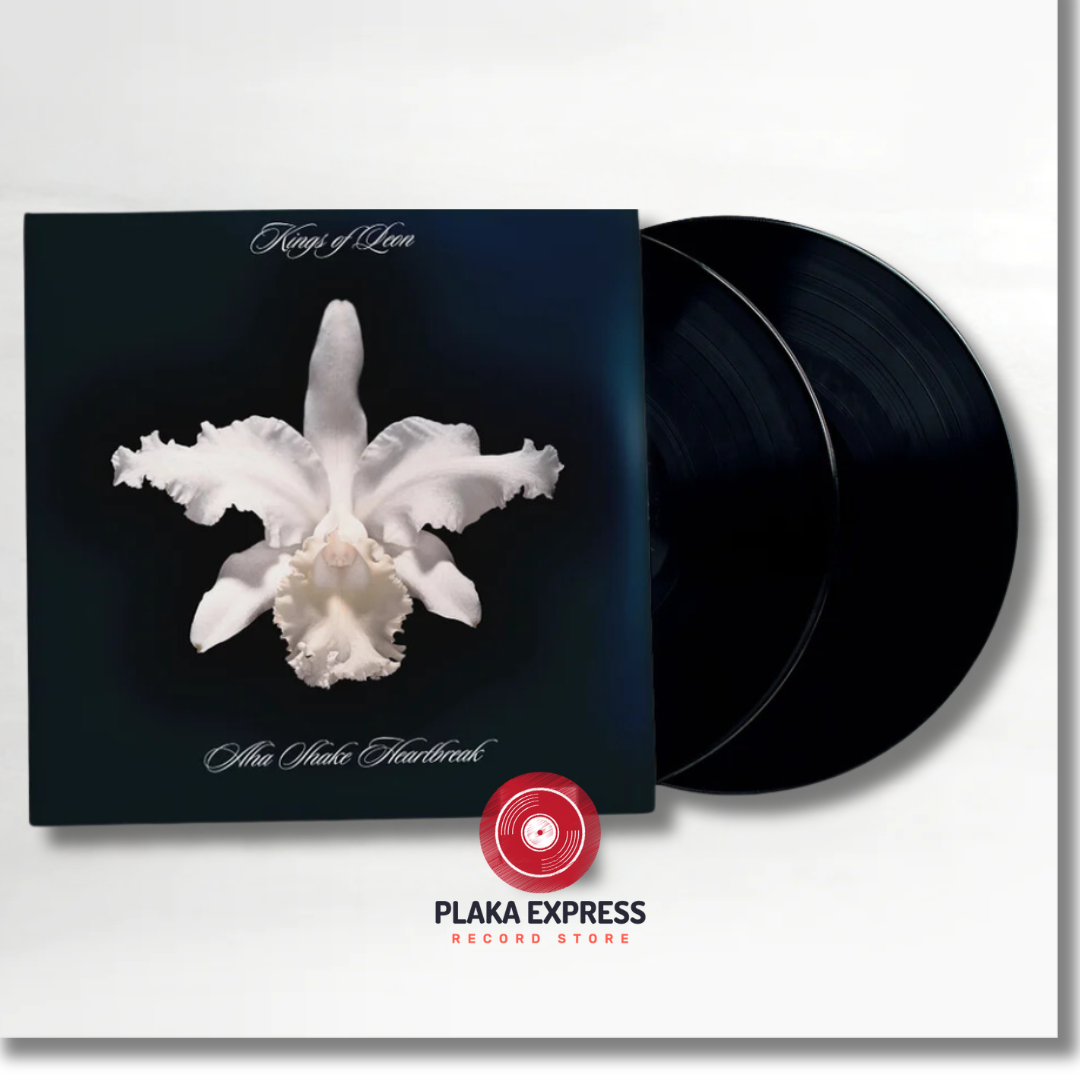 Kings of Leon – Aha Shake Heartbreak 2 LP