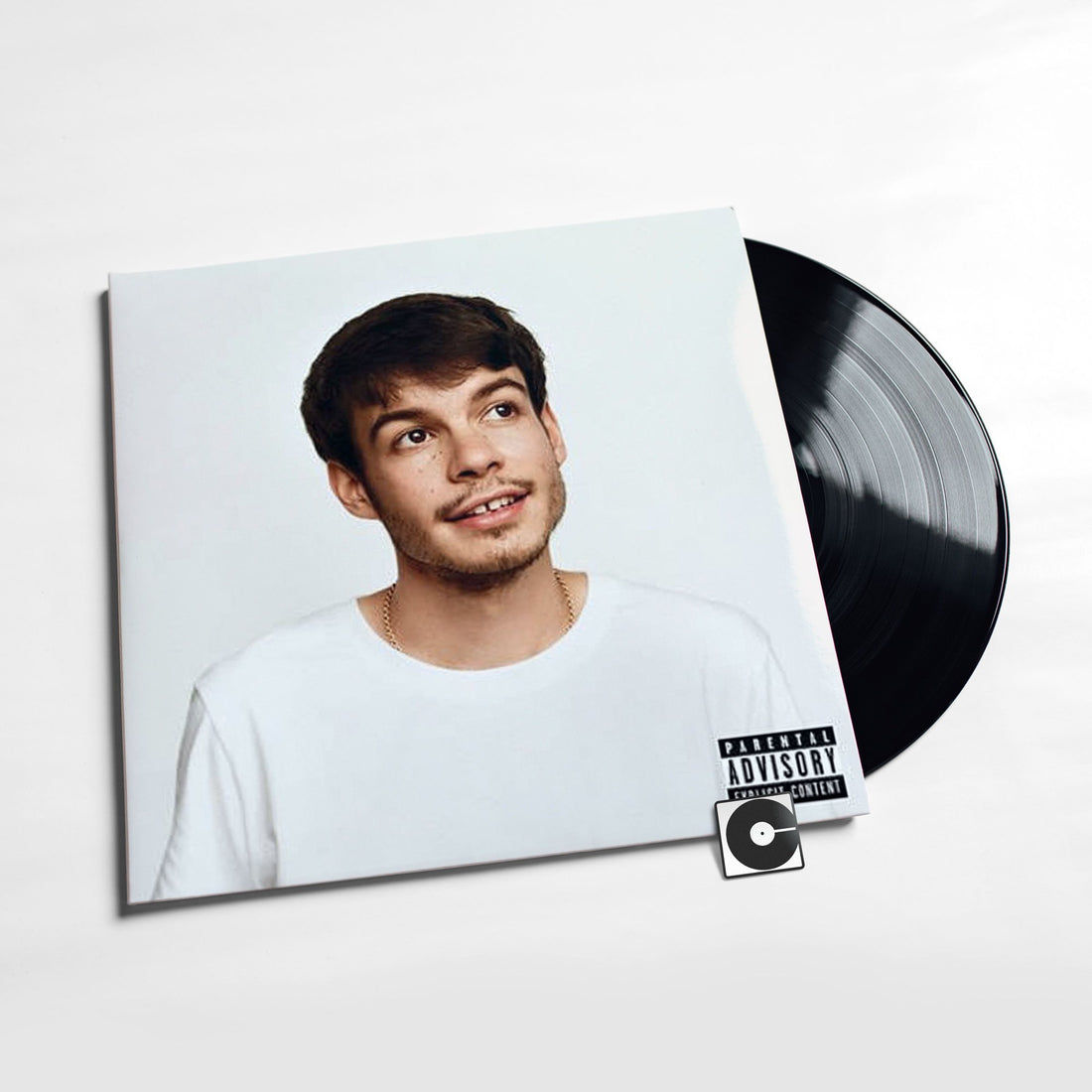 Rex Orange County ‎– Pony LP