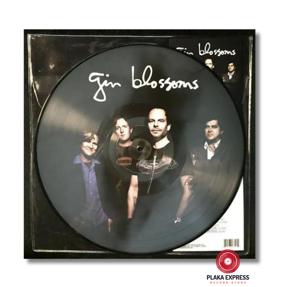 Thumbnail: Gin Blossoms ‎– Live In Concert limited edition picture disc