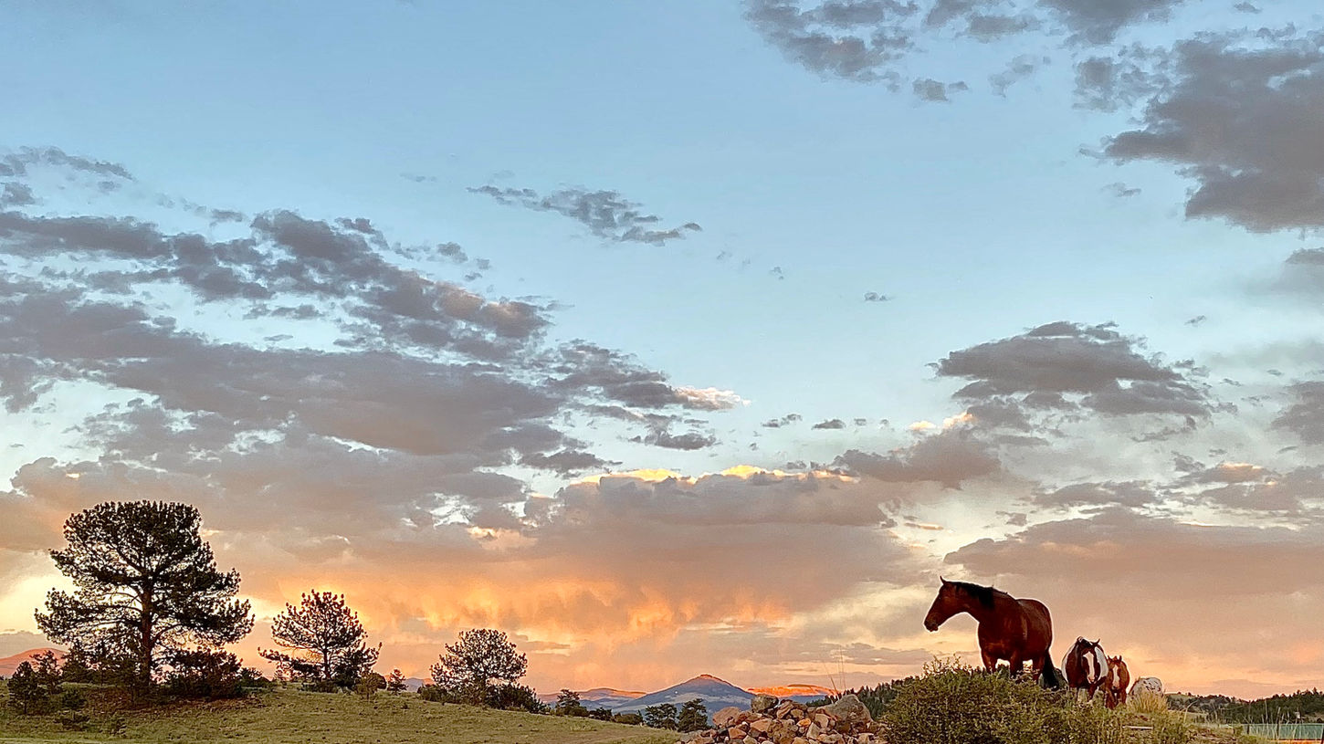 Lorrayne | Horses & Skies