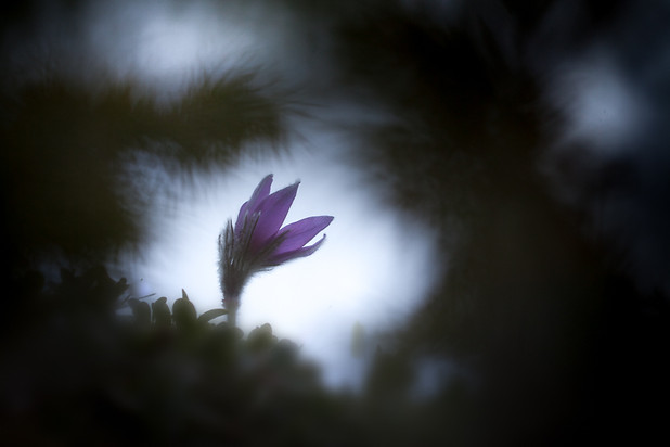 23avril2019 - 13h06min53s.jpg