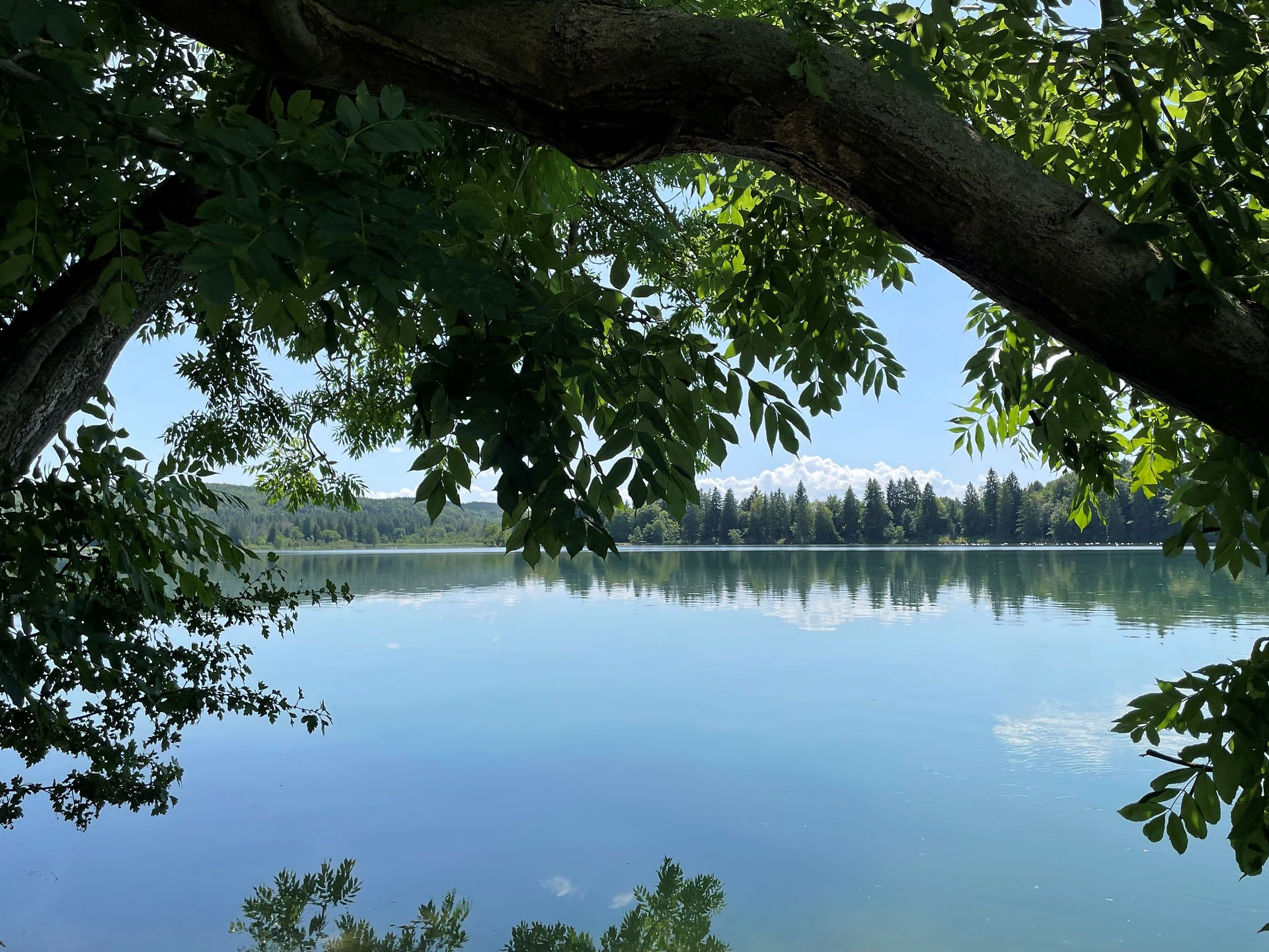 Blick übers Wasser
