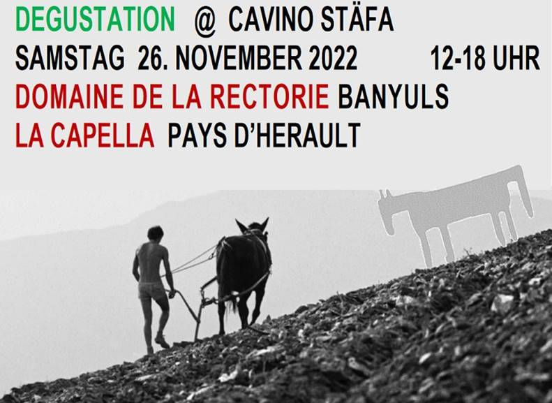 Weindegustation im Cavino