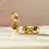 Thumbnail: Gold Versatile Earrings