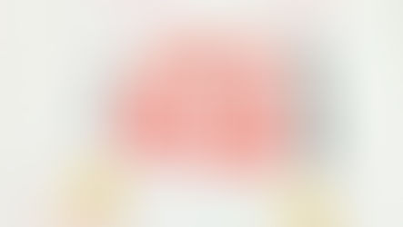 広島あさんぽ9日目