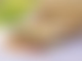 全部のっけBOX 再販!!