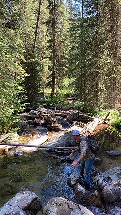 smallcreek.JPG