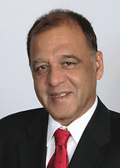 Syed Mehdi Ashraf, P.E.