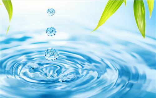 Mơ thấy nước đánh con gì? Giải mã giấc mơ trong lô đề content media