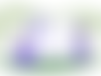 First2Care blog illustration about how to read your NDIS plan featuring two people reviewing a structured document with a magnifying glass for clarity.