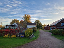 nyhetsbrev 15okt.jpg