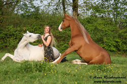 Sylvie Willms HorseShow