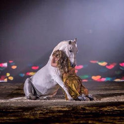 Sylvie Willms HorseShow