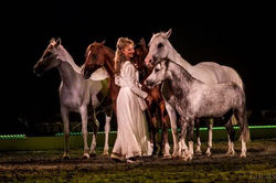 Sylvie Willms HorseShow