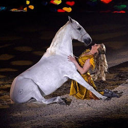 Sylvie Willms HorseShow