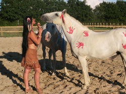 Sylvie Willms HorseShow