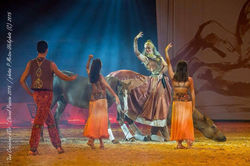 Sylvie Willms HorseShow