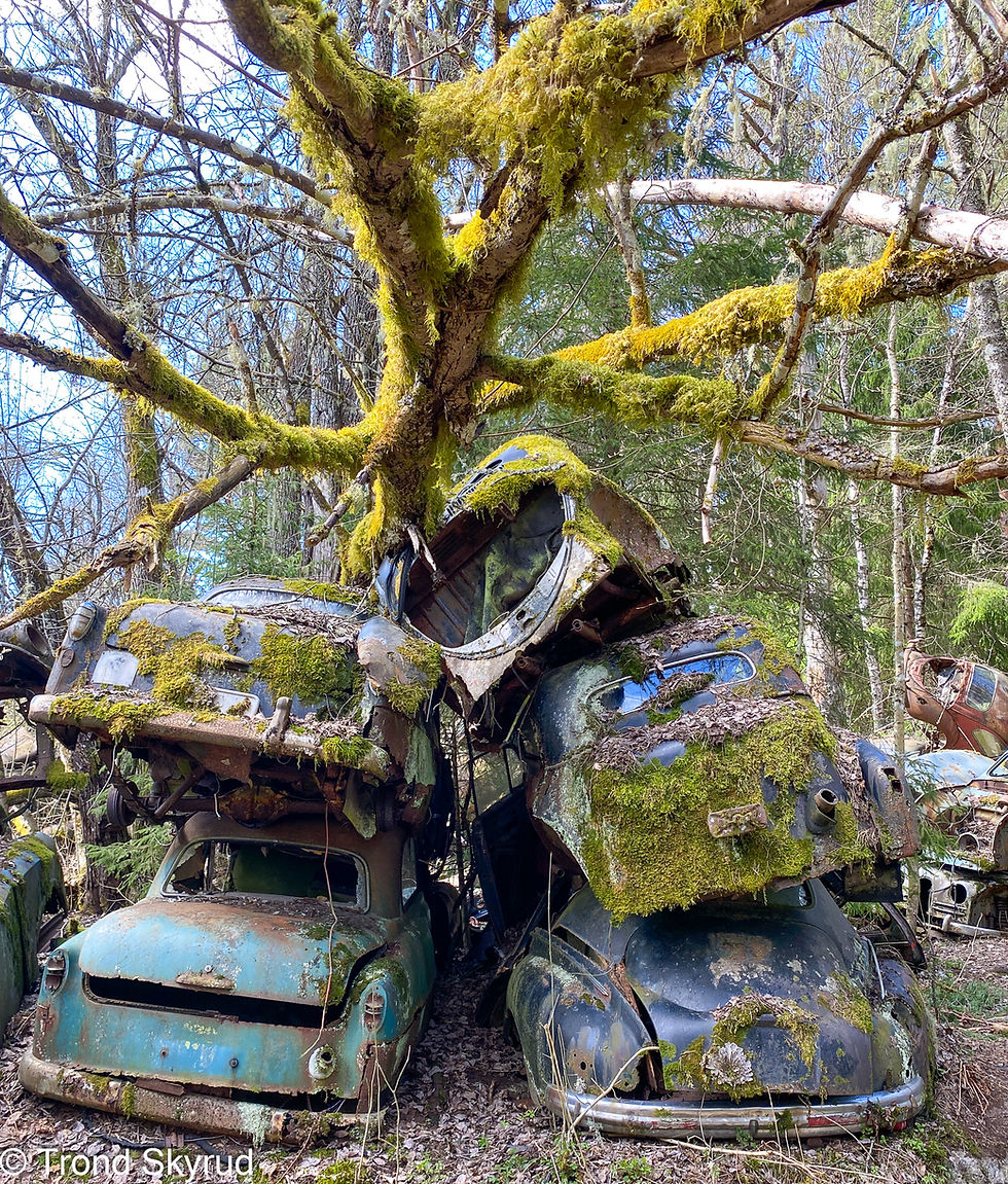 oktober 2024 Metall--Trond Skyrud - Vinner oktober -Metall Båstnäs bilkyrkogård-2