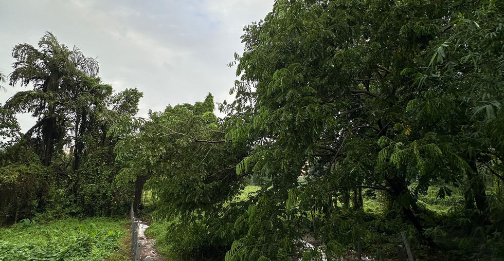 rime land for sale in Candolim, Goa with clear title, field view, and sanad plot. Ideal for residential or commercial development. Contact Goa Property Deal for more details