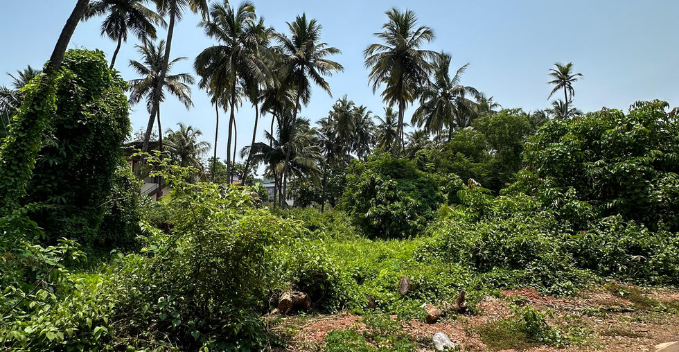 Prime plot of land for sale in Moira, Goa by Goa Property Deal. Ideal for commercial development near Bogmalo Beach with great potential. Contact us for more details