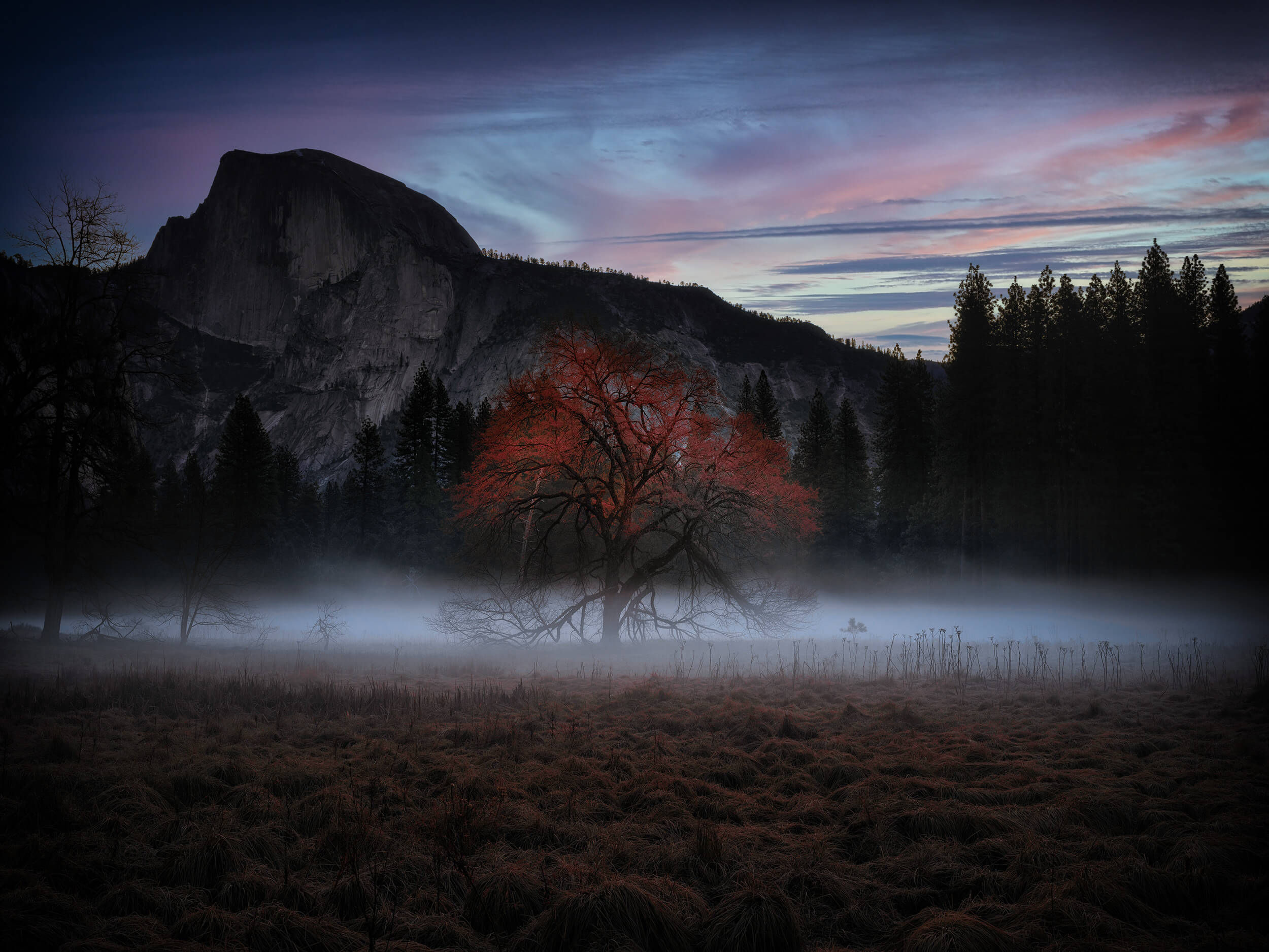 Autumn Vibes (Alone)  - LIMITED EDITION