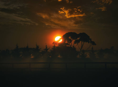 Here Comes The Sun