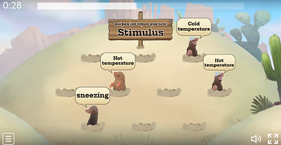 Screenshot 2025-07-21 10.11.37 AM.png