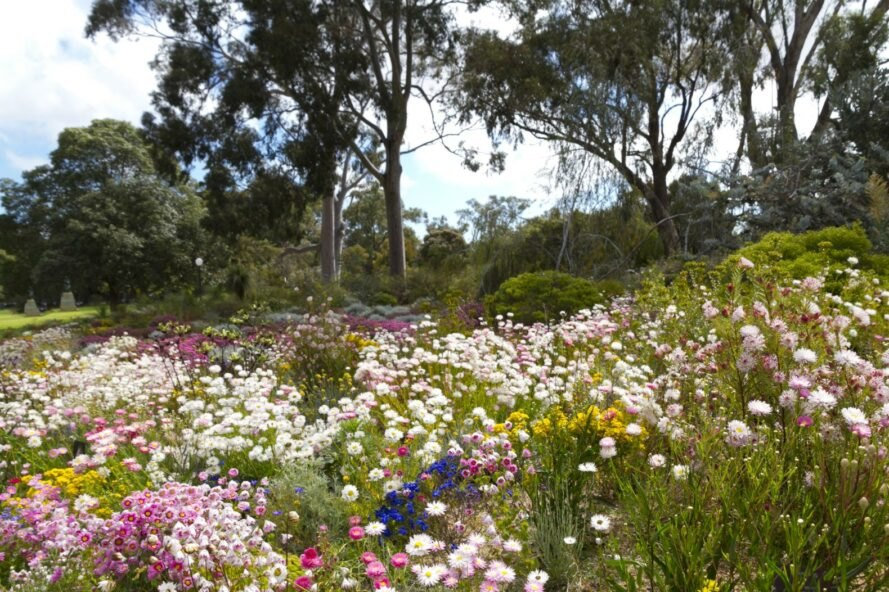 Psychologie van de koude grond
